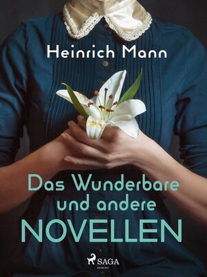 cover image of Das Wunderbare und andere Novellen